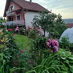 アパート Panorama Sky -11 Min By Walk To Old Town - Free Parking *