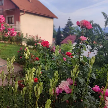 Panorama Sky -11 Min By Walk To Old Town - Free Parking Апартаменты *